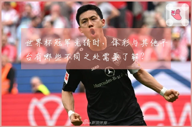 世界杯冠军竞猜时，体彩与其他平台有哪些不同之处需要了解？