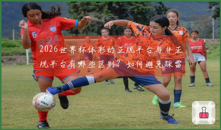 2026世界杯体彩的正规平台与非正规平台有哪些区别？如何避免踩雷？