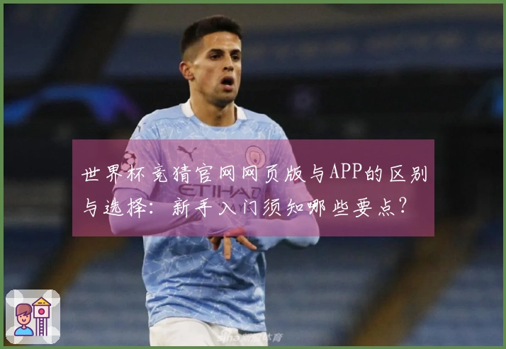 世界杯竞猜官网网页版与APP的区别与选择：新手入门须知哪些要点？