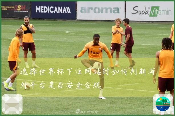 选择世界杯下注网站时如何判断海外平台是否安全合规