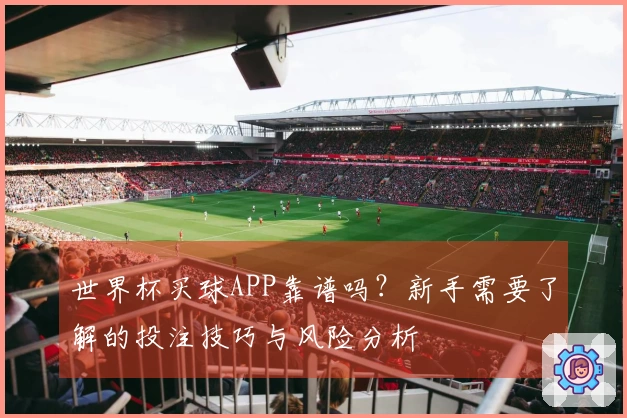 世界杯买球APP靠谱吗？新手需要了解的投注技巧与风险分析