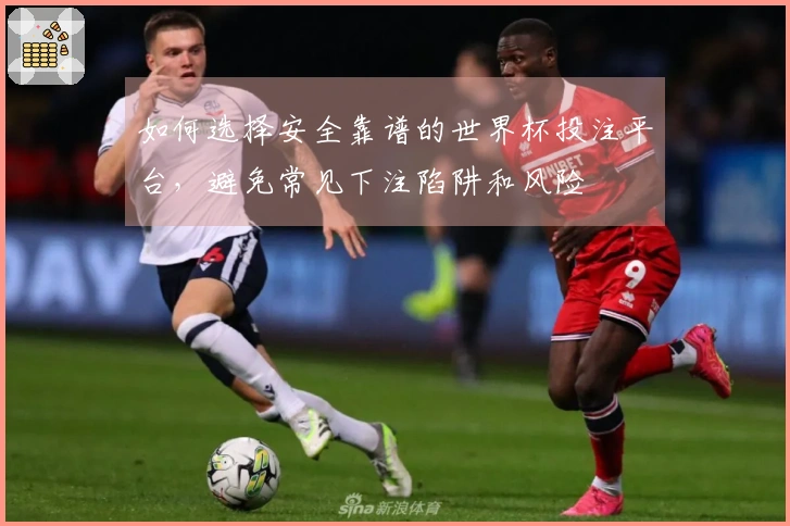 如何选择安全靠谱的世界杯投注平台，避免常见下注陷阱和风险
