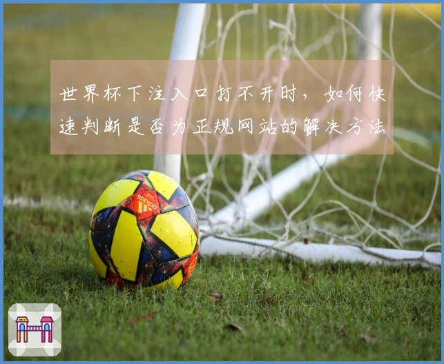 世界杯下注入口打不开时，如何快速判断是否为正规网站的解决方法