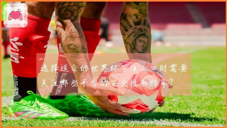 选择适合的世界杯下注入口时需要关注哪些平台的安全性和赔率？