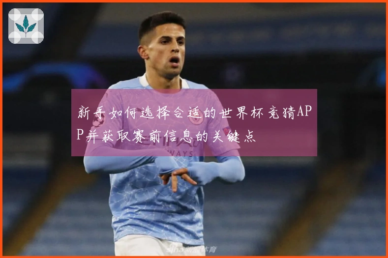新手如何选择合适的世界杯竞猜APP并获取赛前信息的关键点
