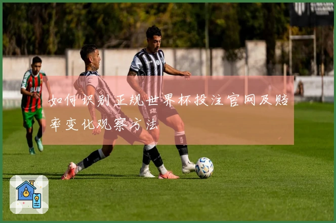 如何识别正规世界杯投注官网及赔率变化观察方法