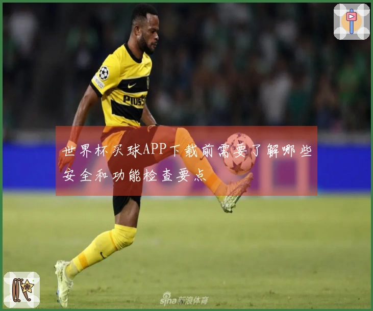 世界杯买球APP下载前需要了解哪些安全和功能检查要点