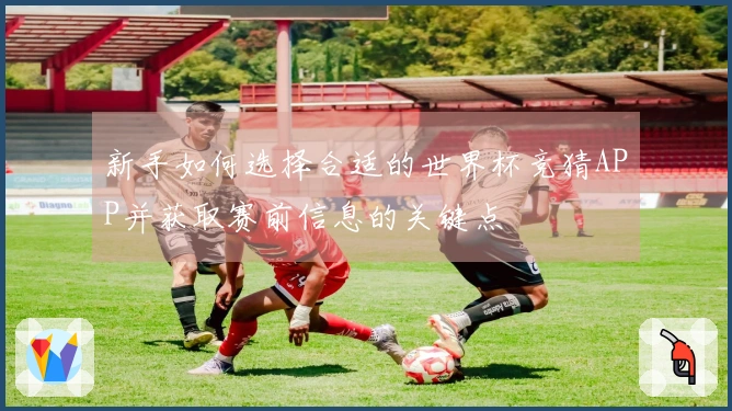新手如何选择合适的世界杯竞猜APP并获取赛前信息的关键点