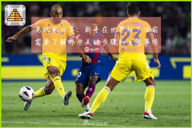 老玩家分享：新手在世界杯下注前需要了解哪些关键步骤和注意事项