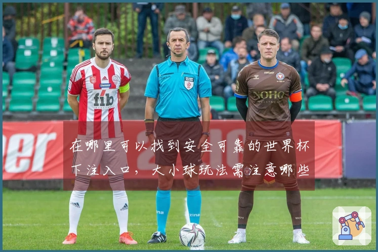在哪里可以找到安全可靠的世界杯下注入口，大小球玩法需注意哪些风险？
