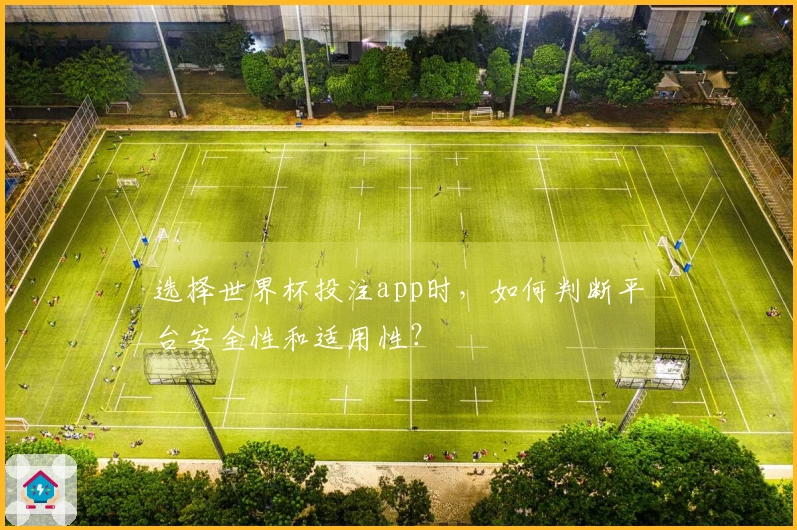 选择世界杯投注app时，如何判断平台安全性和适用性？