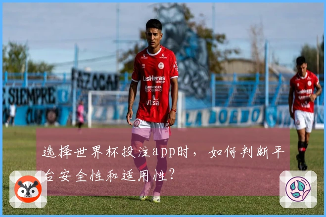 选择世界杯投注app时，如何判断平台安全性和适用性？