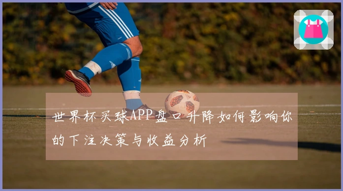 世界杯买球APP盘口升降如何影响你的下注决策与收益分析