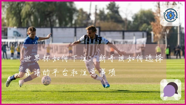 世界杯如何下注：新手该如何选择靠谱的平台和注意事项