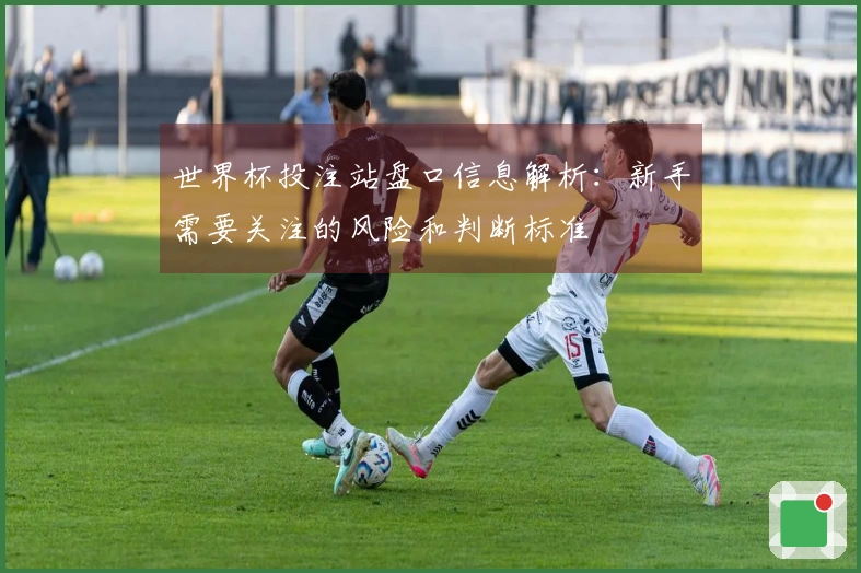 世界杯投注站盘口信息解析：新手需要关注的风险和判断标准