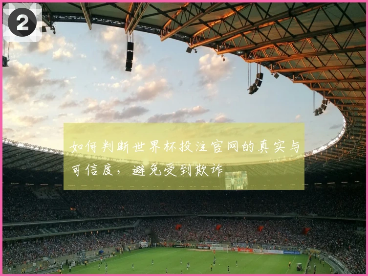 如何判断世界杯投注官网的真实与可信度，避免受到欺诈