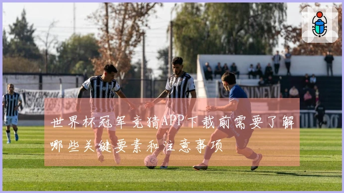 世界杯冠军竞猜APP下载前需要了解哪些关键要素和注意事项