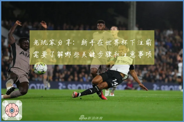 老玩家分享：新手在世界杯下注前需要了解哪些关键步骤和注意事项