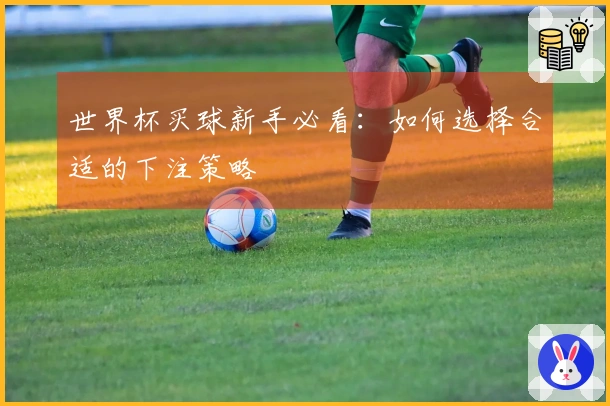 世界杯买球新手必看：如何选择合适的下注策略