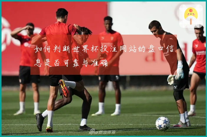 如何判断世界杯投注网站的盘口信息是否可靠与准确