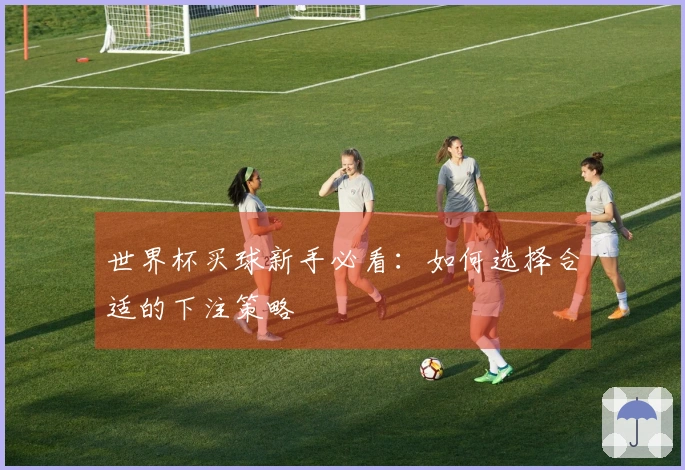 世界杯买球新手必看：如何选择合适的下注策略