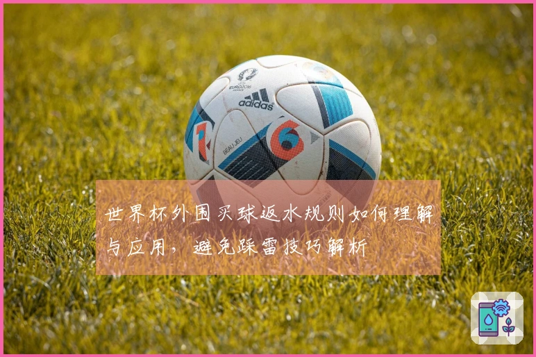 世界杯外围买球返水规则如何理解与应用，避免踩雷技巧解析