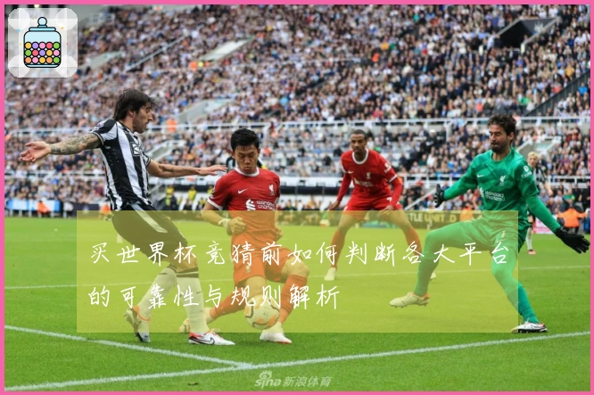 买世界杯竞猜前如何判断各大平台的可靠性与规则解析