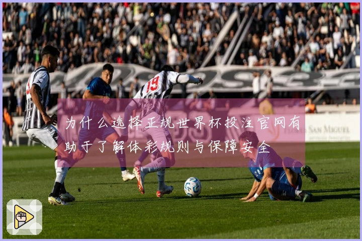 为什么选择正规世界杯投注官网有助于了解体彩规则与保障安全