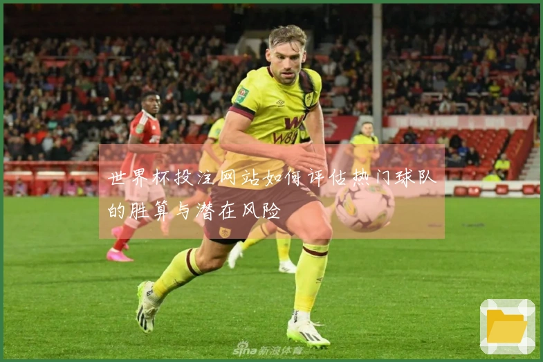 世界杯投注网站如何评估热门球队的胜算与潜在风险