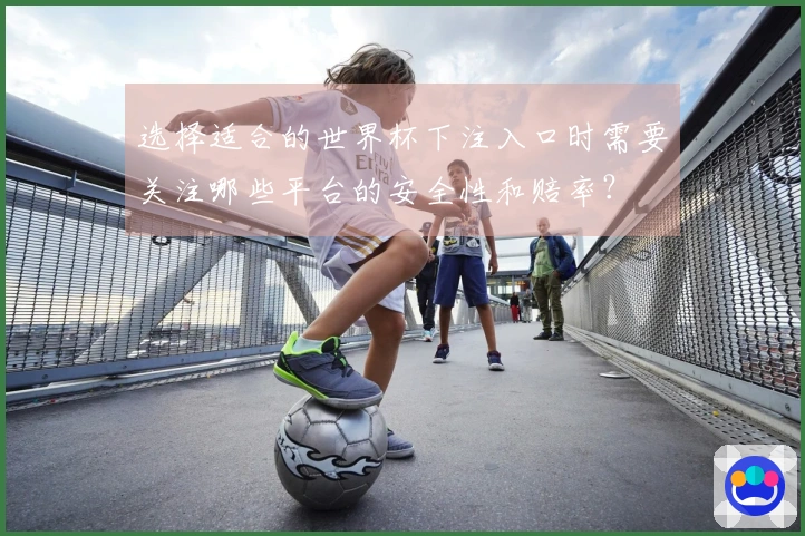 选择适合的世界杯下注入口时需要关注哪些平台的安全性和赔率？