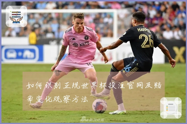 如何识别正规世界杯投注官网及赔率变化观察方法
