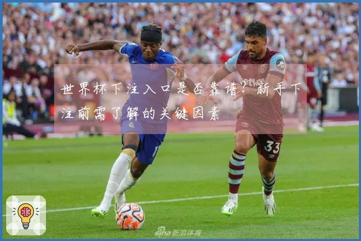 世界杯下注入口是否靠谱？新手下注前需了解的关键因素