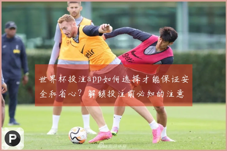 世界杯投注app如何选择才能保证安全和省心？解锁投注前必知的注意事项