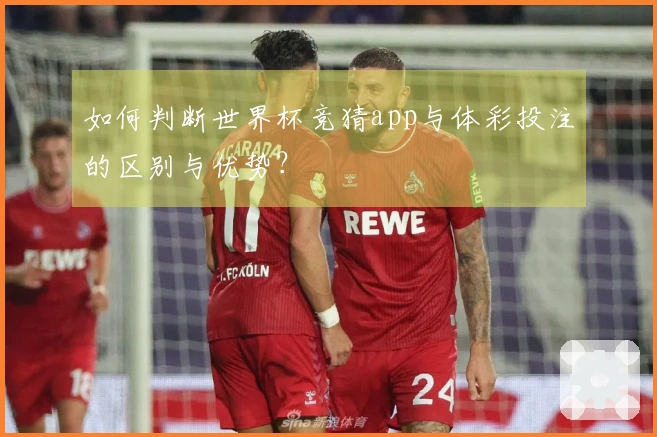 如何判断世界杯竞猜app与体彩投注的区别与优势？