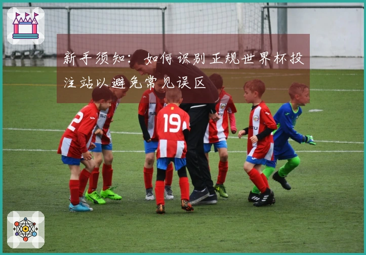 新手须知：如何识别正规世界杯投注站以避免常见误区