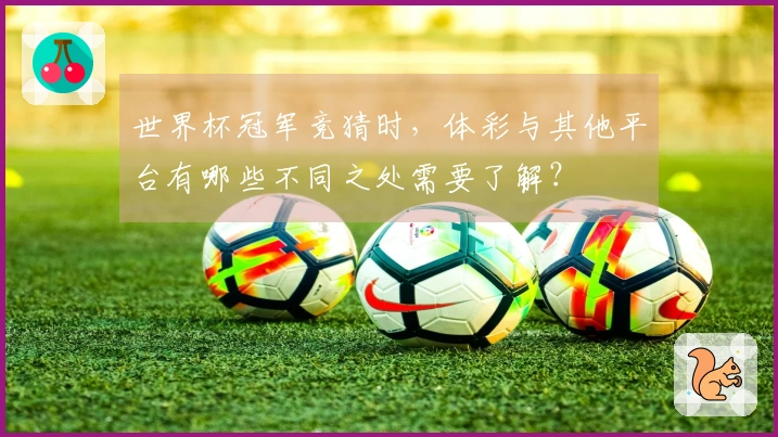 世界杯冠军竞猜时，体彩与其他平台有哪些不同之处需要了解？