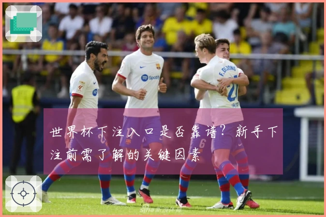 世界杯下注入口是否靠谱？新手下注前需了解的关键因素