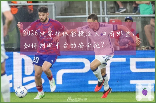 2026世界杯体彩投注入口有哪些，如何判断平台的安全性？