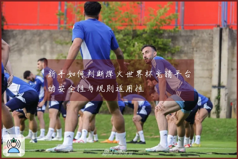 新手如何判断烽火世界杯竞猜平台的安全性与规则适用性
