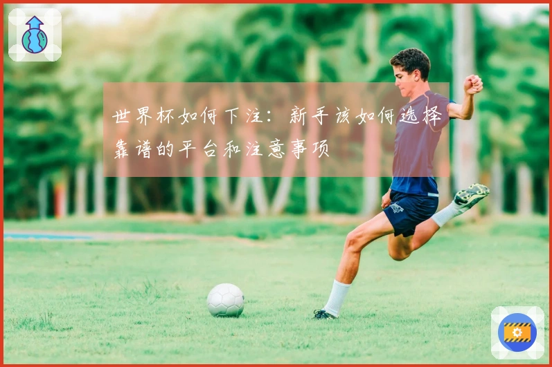 世界杯如何下注：新手该如何选择靠谱的平台和注意事项