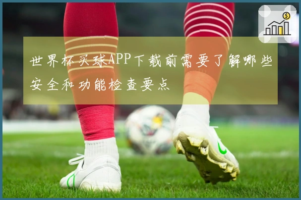 世界杯买球APP下载前需要了解哪些安全和功能检查要点